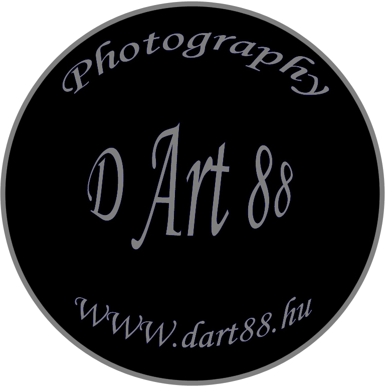 D Art 88...jpg